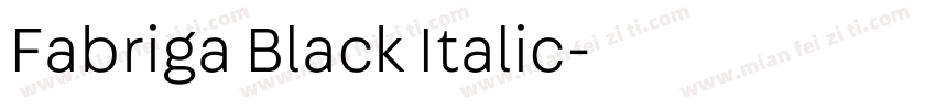 Fabriga Black Italic字体转换